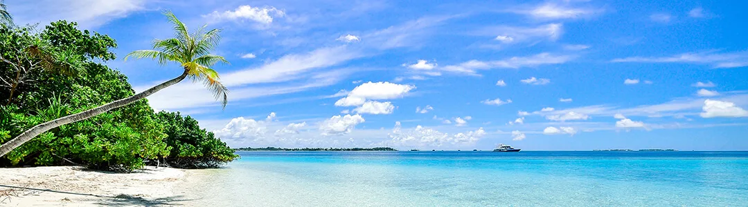 web-design-in-boca-raton-florida beach